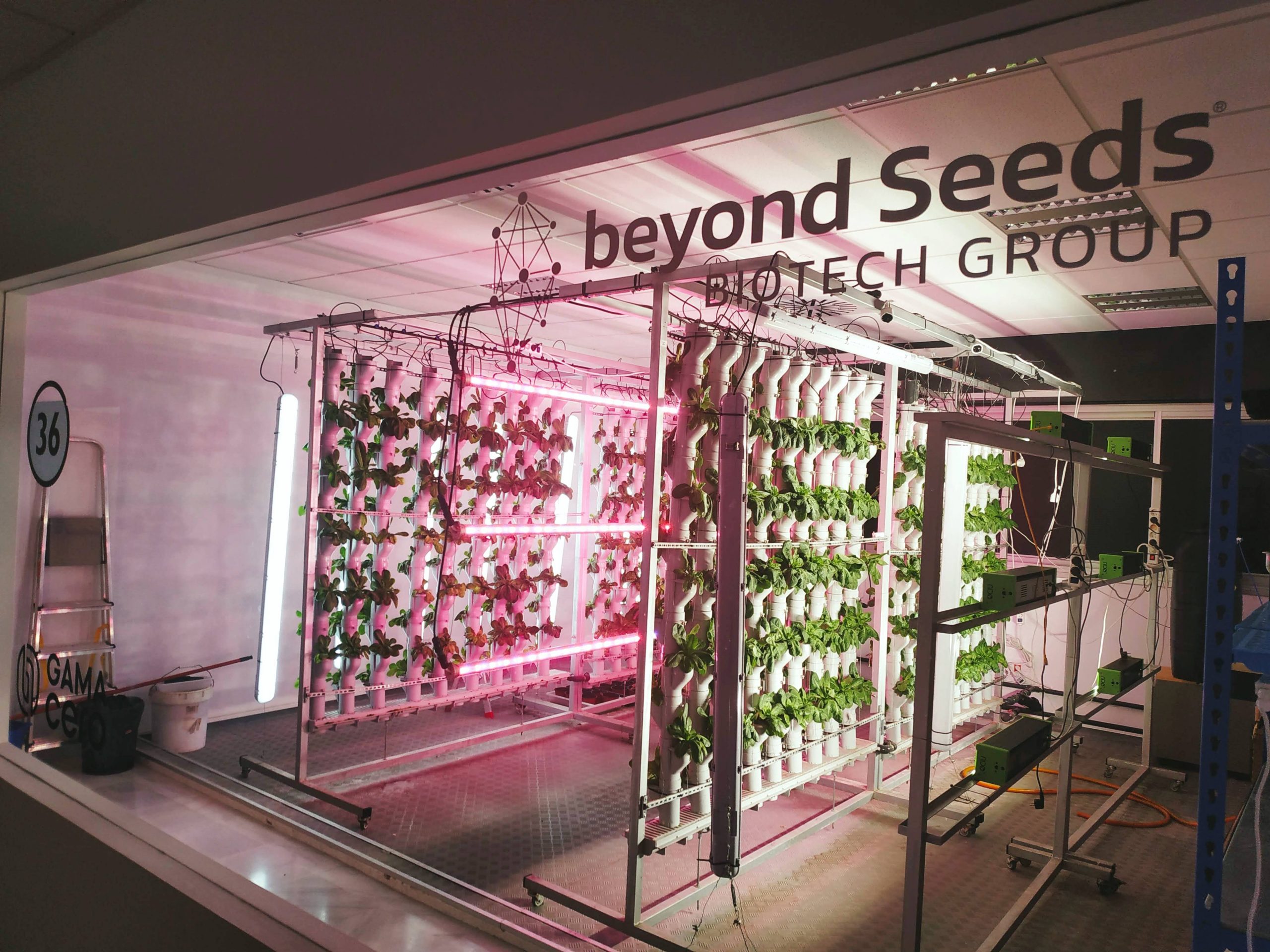Beyond-seeds-instalaciones17